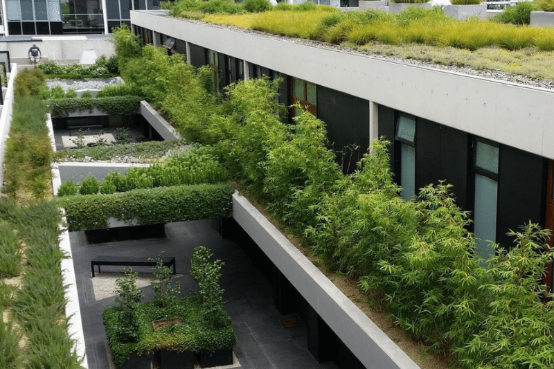 Strata & the Green Roof Revolution