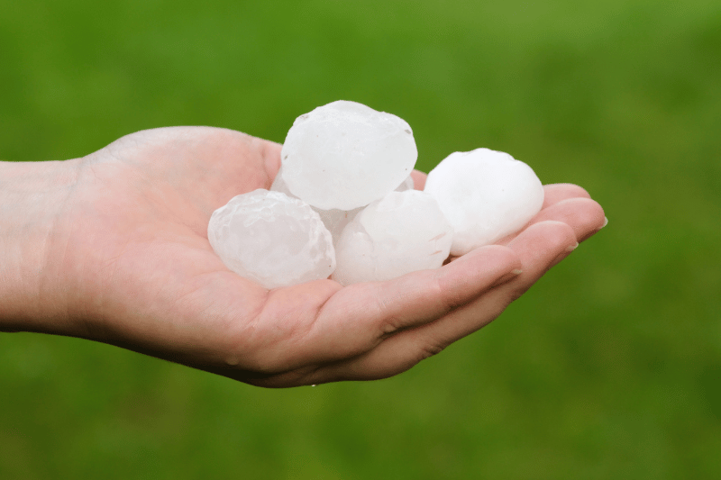SEQ Hailstorm: Emergency Repairers & Hutch Claims Contacts